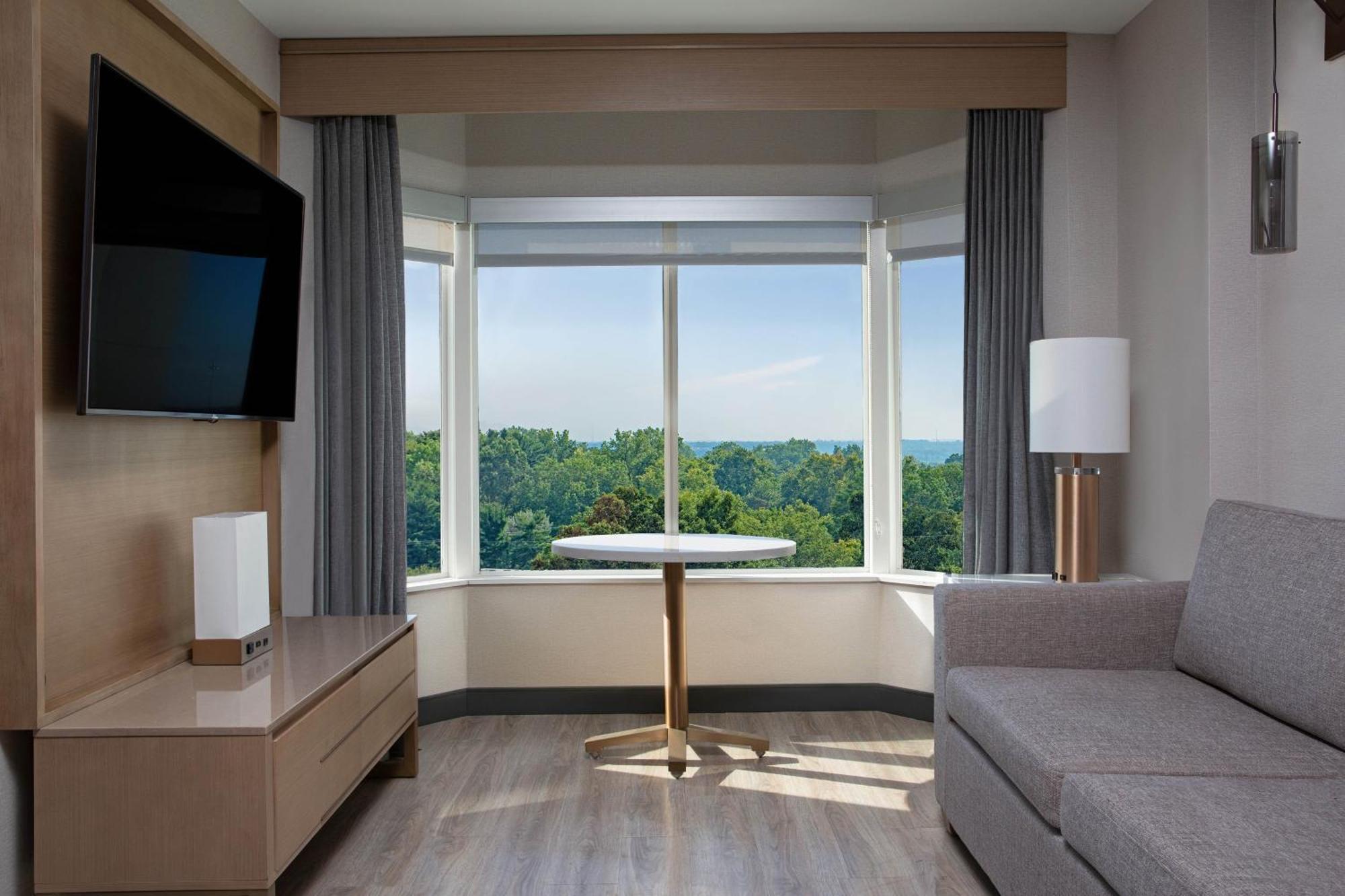 Suite Bay Window 1 King Sofa Bed