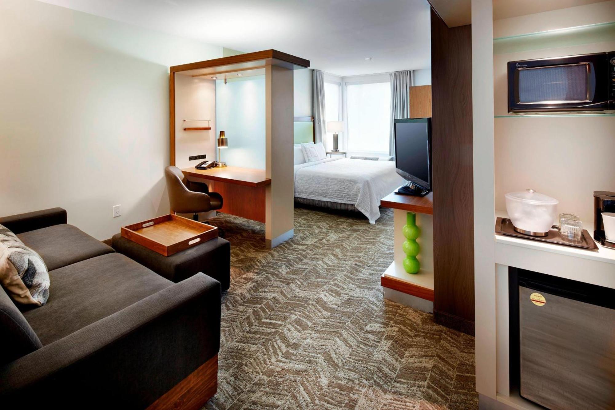 King Suite Bathtub Trundle Sofa Mobility Access or Hearing Accessible,1634418378:JPEG